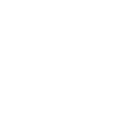paradise logo white